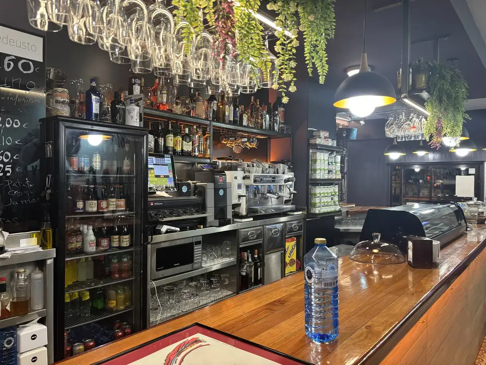 Barra del Viejo Roble con botellas, copas y plantas colgantes